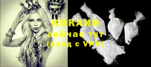 стаф Абинск
