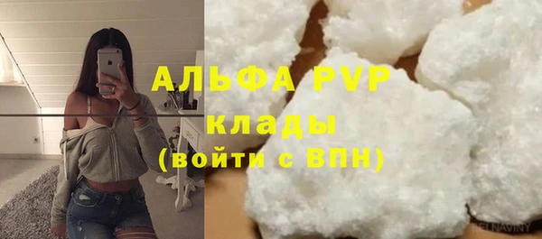 стаф Абинск