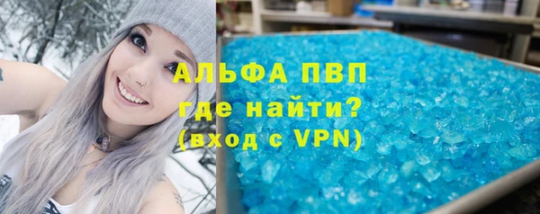 гашик Алексин