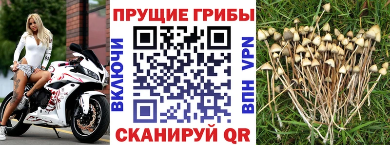 Галлюциногенные грибы прущие грибы  кракен   Тула 
